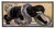 L'institut de France qui regroupe les académies, dont l'académie des beaux-arts, dont Jouve était membre, dispose de différents musées.

 

Panthère noire combattant un python, 1932

Mosaïque de Gaudin, d'après un dessin de Jouve
Signée Paul Jouve à gauche et Gaudin mosaïste à droite
Haut. 88 cm, larg. 175 cm